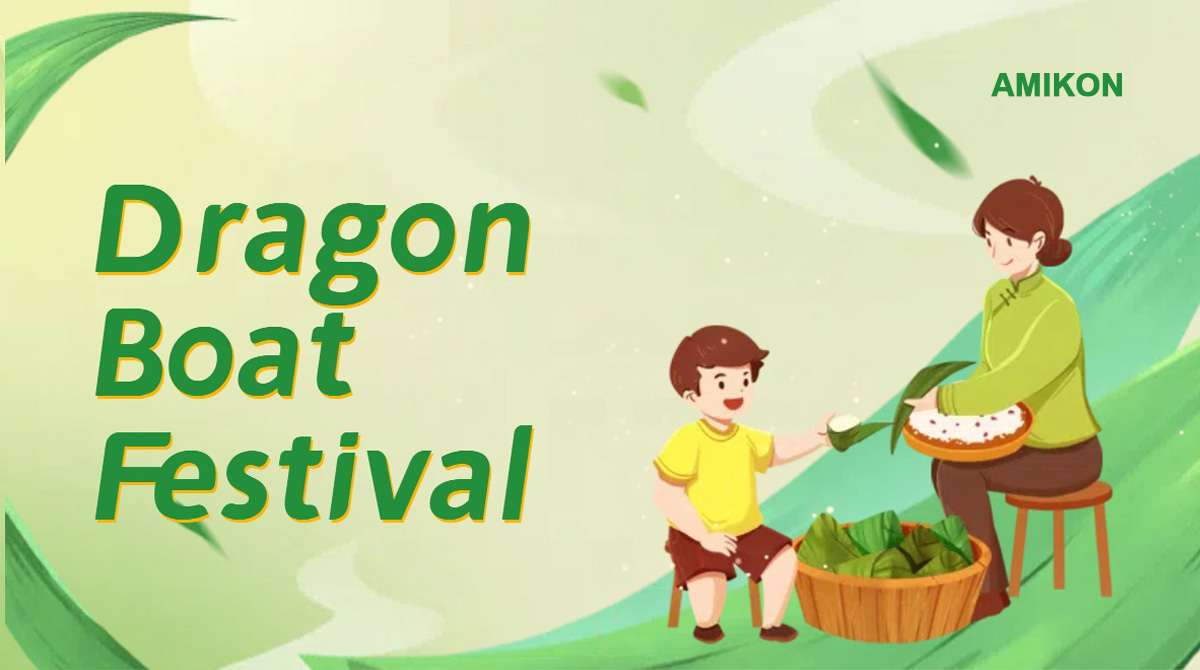 Dragon Boat Festivali
    