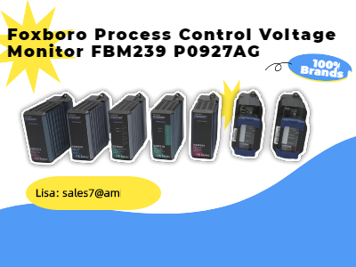 FBM239 P0927AG FOXBORO Proses Kontrol Gerilim Monitörü 16 inç/Çıkış